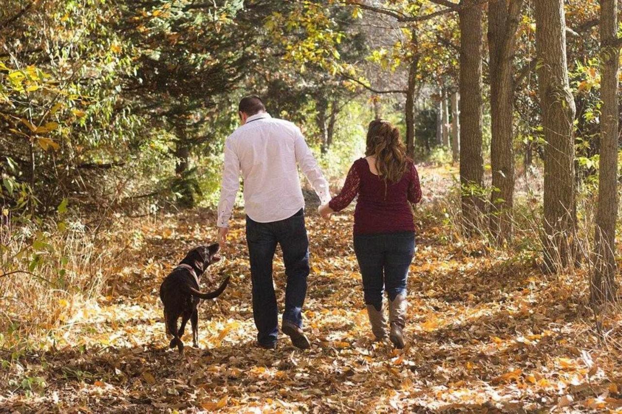 Mas Els Plans La Casa Pensada Para Perros Que Viajan Con Sus Humanos Olot Exterior photo
