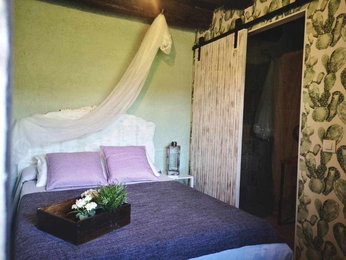 Mas Els Plans La Casa Pensada Para Perros Que Viajan Con Sus Humanos Olot Exterior photo